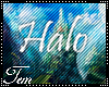 T|» Fidra Back Halo