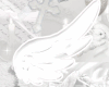🪽 Angel Wings 🪽