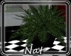 NT 50s Small Planter