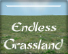 endless grassland