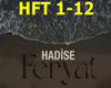 Hadise-Feryat