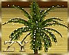 ZY: Beach Palm Light
