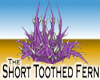 Short Toothed Fern -v1a