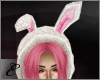E~ My Bunny Pink