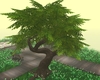 SIN Romantic Tree