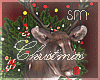 [SM]Christmas_Wall Decor