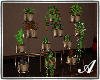 .Evi. Plants Set