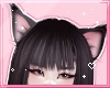 ℓ fluffy cat ears 3