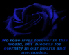 Blue Rose Poem