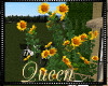 !Q Vintage Sunflowers