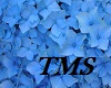 Photo Flower Blue TMS