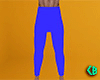 DRV 3 Layer Pants 1 (M)