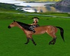 ranch riding horse