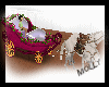 wedding horse & carriage