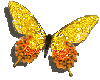 Glitter Butterfly