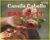 Camila Cabello - Easy