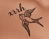 Tattoo Custom Sparrow