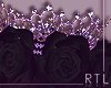 R| Diamond Crown |Black