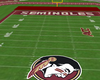 f s u  football stadium