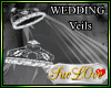 Veils Wedding