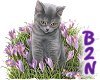 B2N-Flower Cat