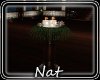 NT Night Candle Column