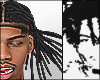 Dual Pony Locs
