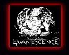 evanescence t shirt