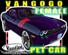 VG Purple CAR Female AVI