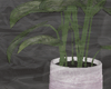 Plant Pot (Pastel)