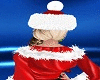 🤶Santa Hat Ana