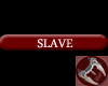 Slave Tag