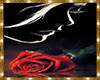 RED ROSE BACKGROUND