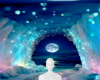 Winter tunnel 7 bg