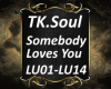 TK.Soul Somebody Luvs U