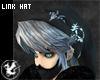 [B] Dark Link Hat