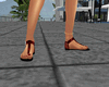 [CZ] Maroon Sandals