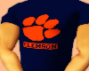 Clemson T-shirt