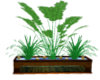 Plant Bench
