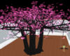 LT Pink Blooming Tree