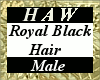 Royal Black Hair - M