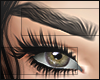 I│Cara Brows Black