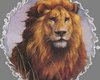 HW: The Lion of Judea