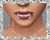 [JK] Double-lip ring