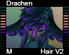 Drachen Hair M V2