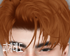 育 Kaze Ginger