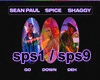 Spice Sean Paul Shaggy