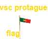 VSC protagues flag pole
