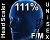 F/M Head Scaler 111%