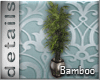 [MGB] D! Plant / Bamboo